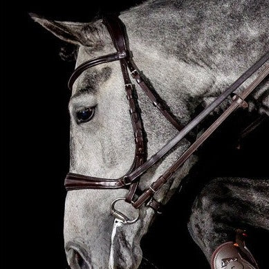 Schockemöhle Equitus Theta Bridle -Espresso | Malvern Saddlery