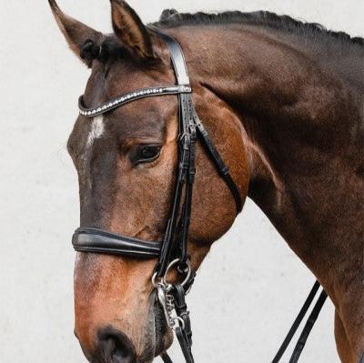 Schockemoehle Sports Milton Double Anatomical Dressage Bridle | Malvern Saddlery