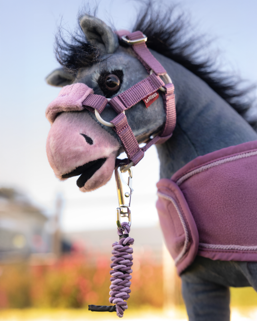 LeMieux Toy Pony Vogue Halter with Lead Rope - Mallow & Fondant Pink; shown on 'Comet' on blurred outdoor background | Malvern Saddlery