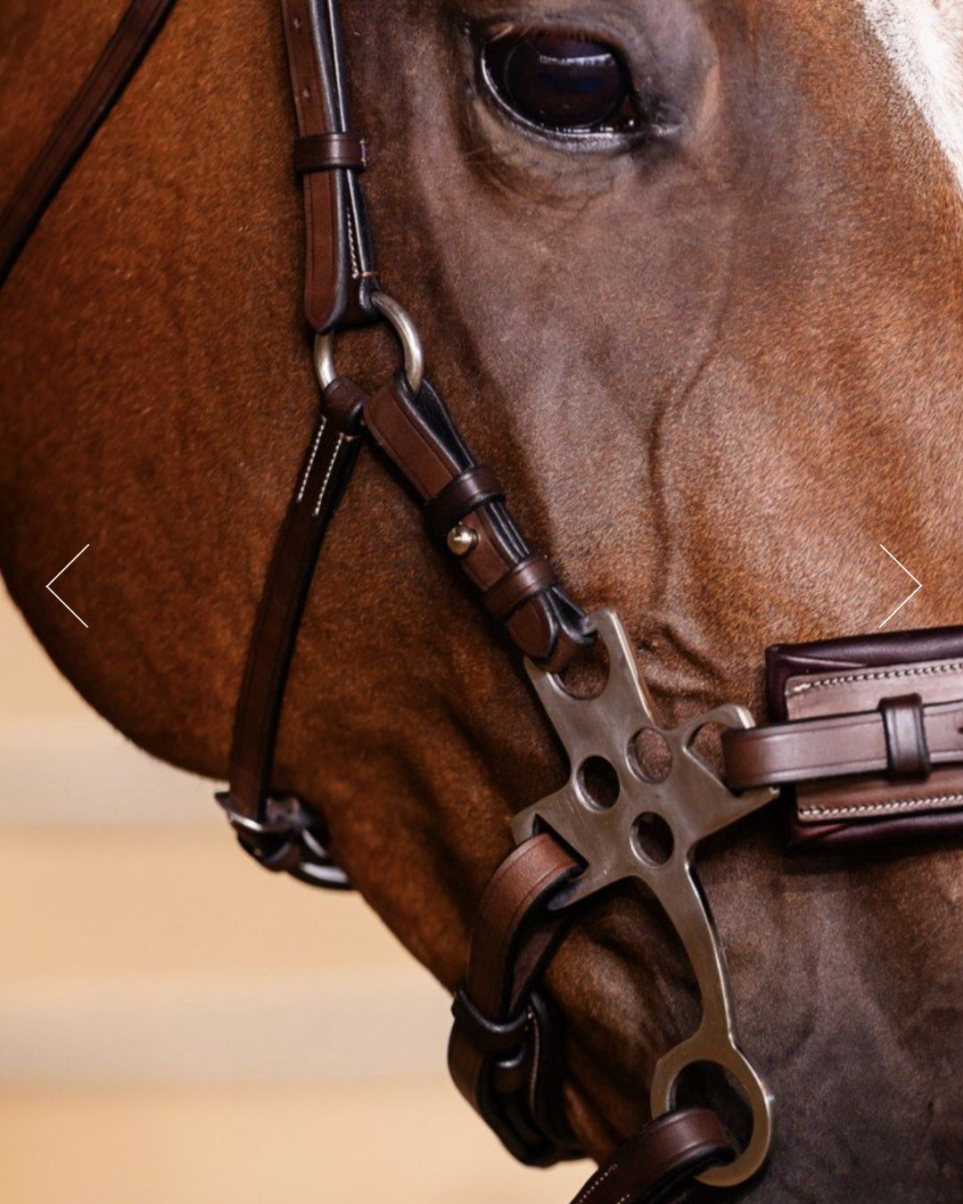 ADT Hackamore Bridle - Brown, sideview hackamore detail | Malvern Saddlery