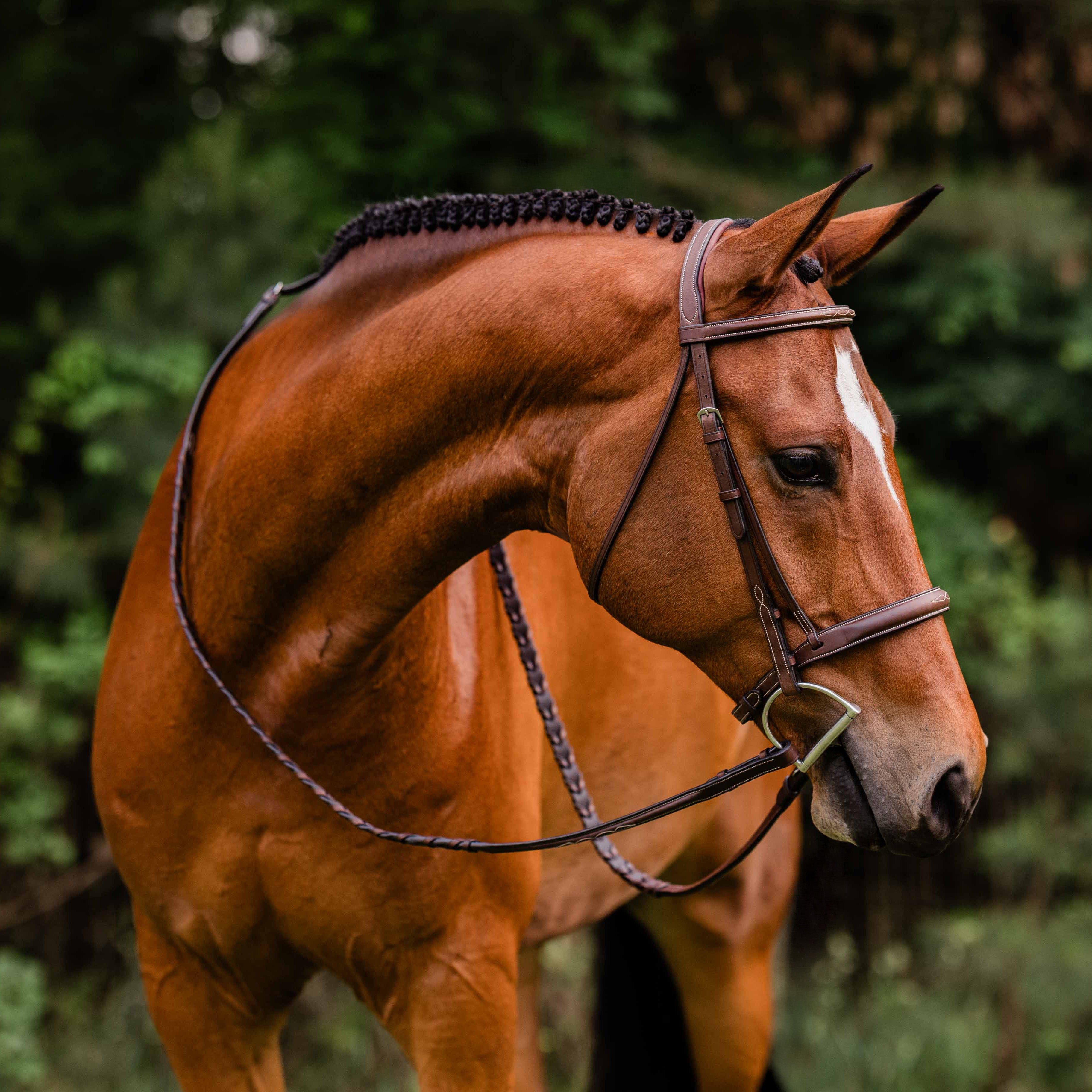 ADT Arc de Triomphe Stealth Hunter Bridle - fancy stitched, shown on Chestnut horse with matching reins | Tack Shop | Malvern Saddlery