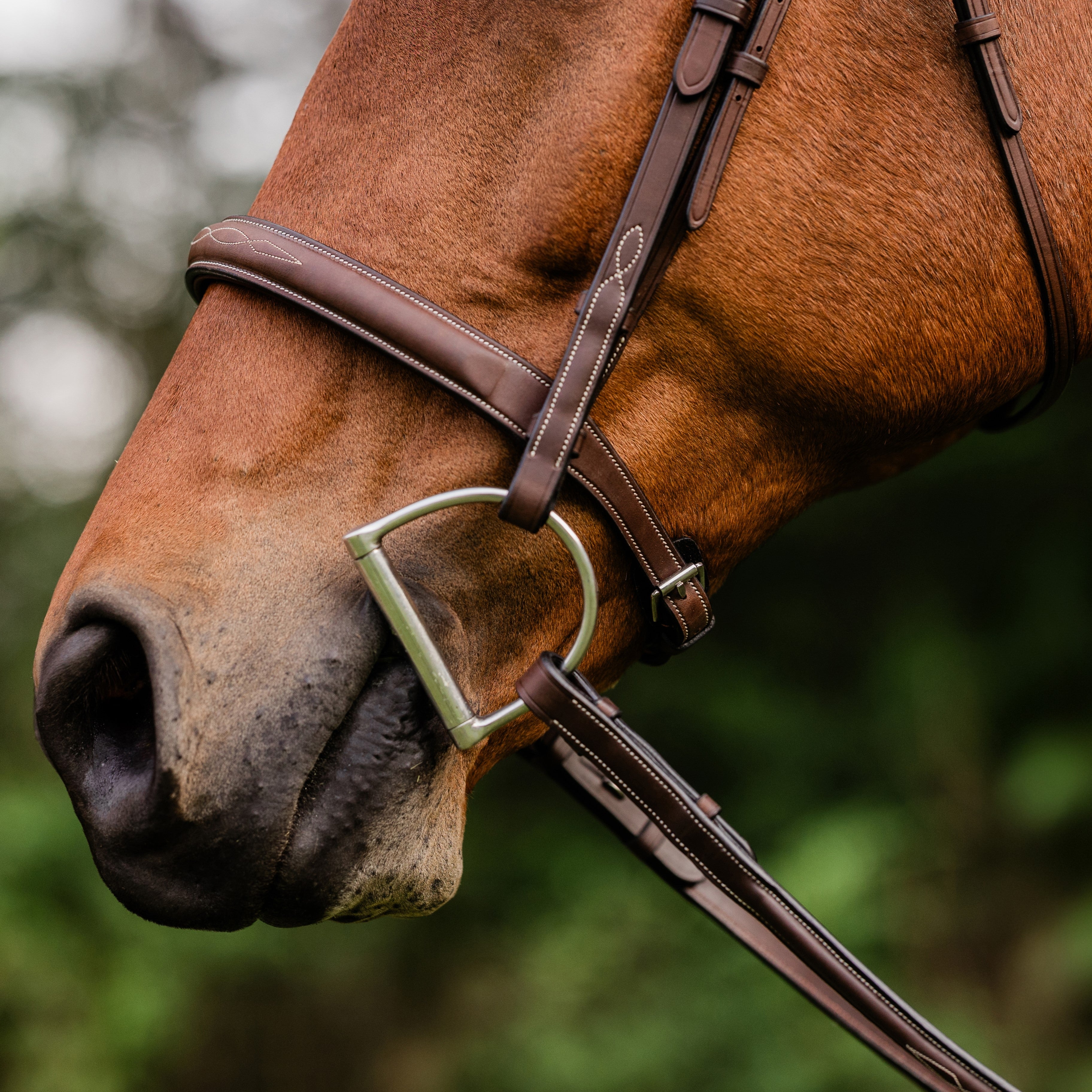 ADT Arc de Triomphe Stealth Hunter Bridle - fancy stitched, shown on Chestnut horse with matching reins - side noseband detail | Tack Shop | Malvern Saddlery