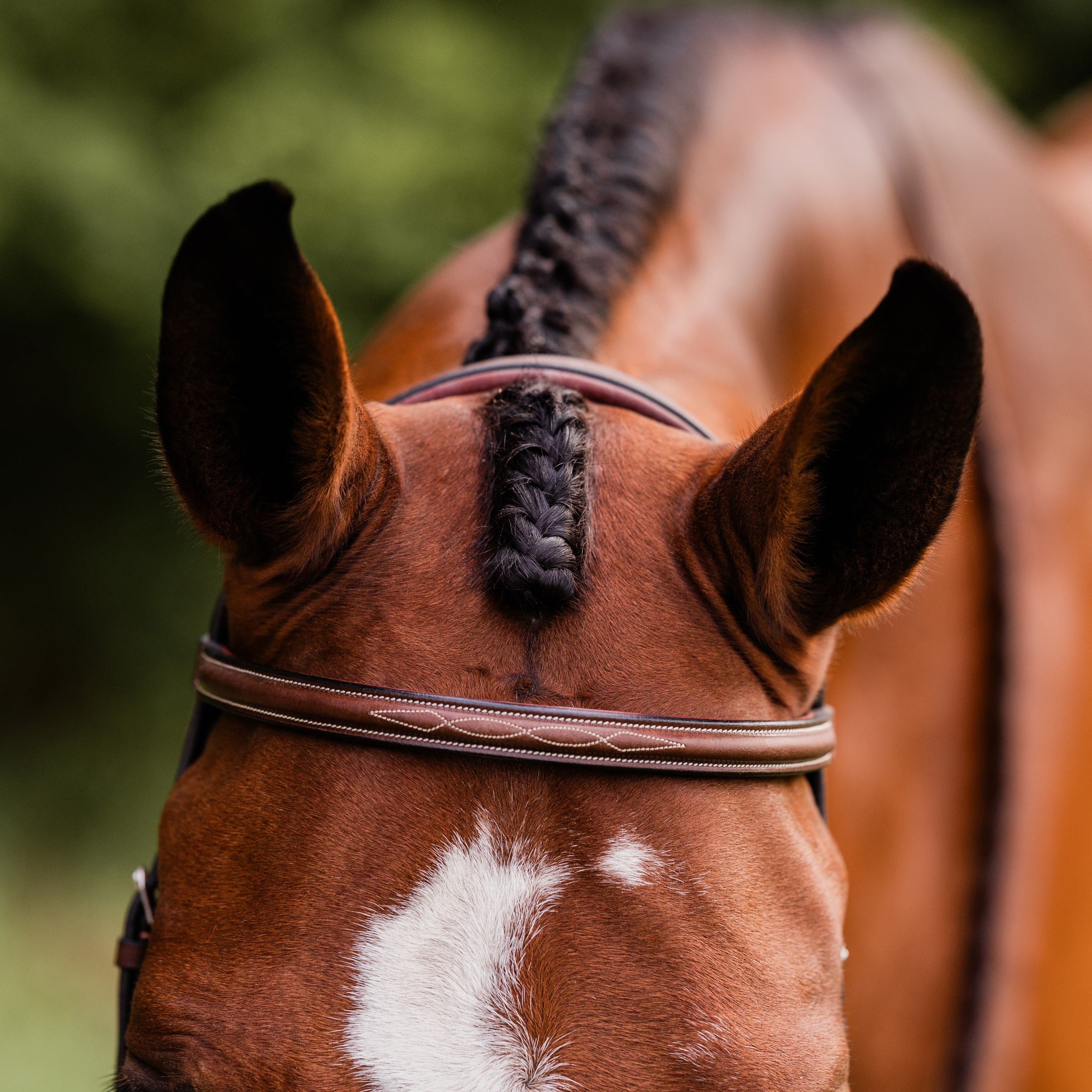 ADT Arc de Triomphe Stealth Hunter Bridle - fancy stitched, shown on Chestnut horse with matching reins - browband detail | Tack Shop | Malvern Saddlery