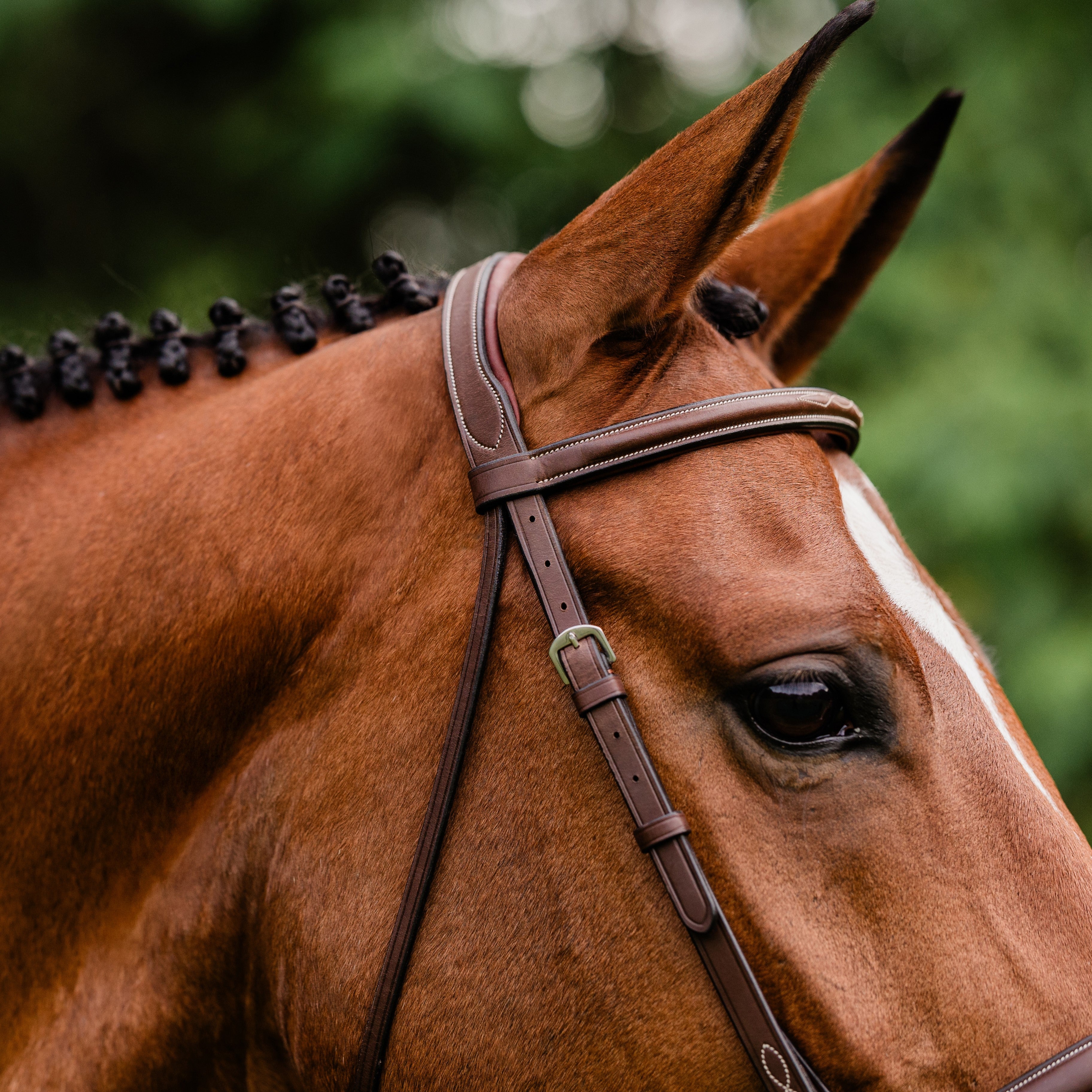 ADT Arc de Triomphe Stealth Hunter Bridle - fancy stitched, shown on Chestnut horse with matching reins - side browband details | Tack Shop | Malvern Saddlery