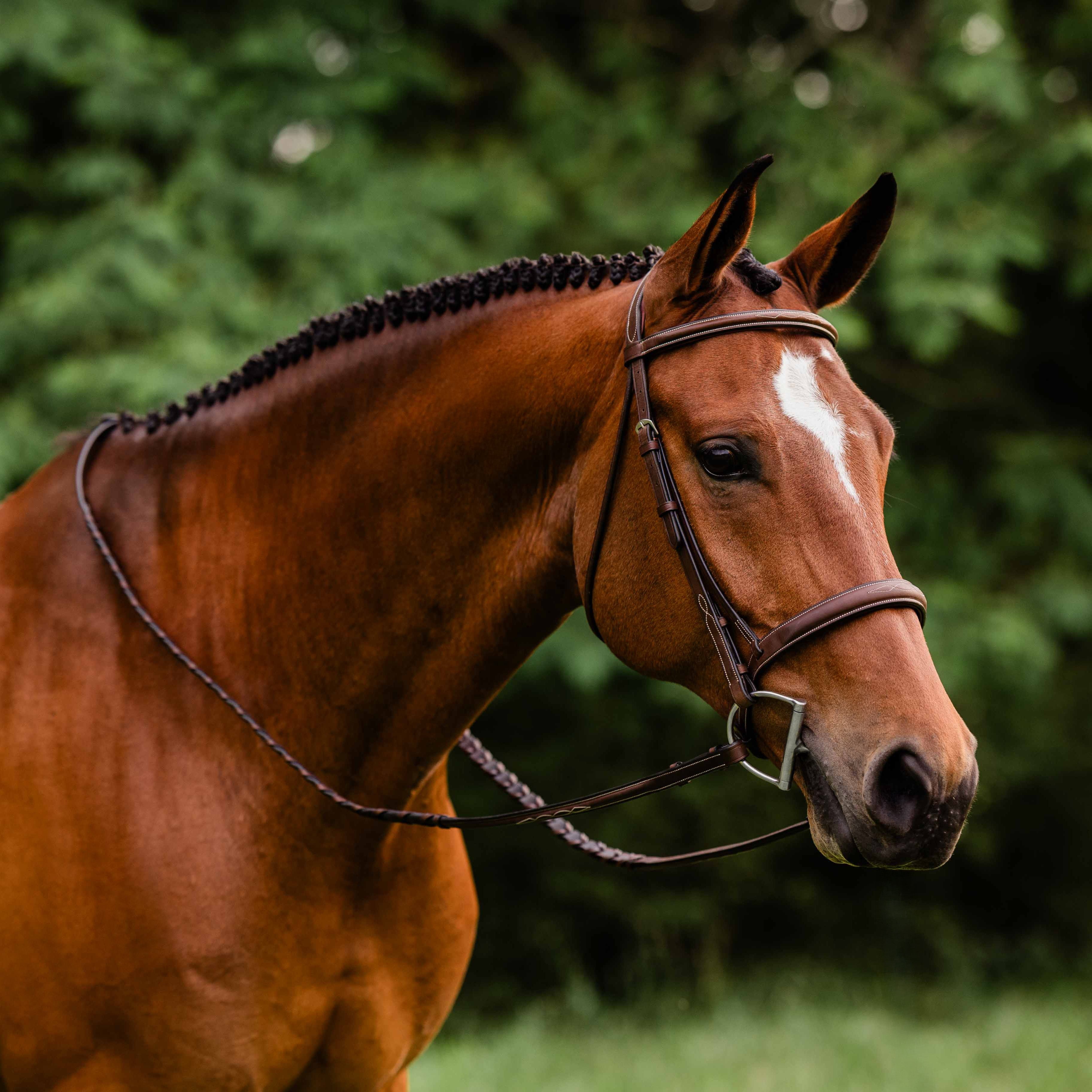 ADT Arc de Triomphe Stealth Hunter Bridle - fancy stitched, shown on Chestnut horse with matching reins | Tack Shop | Malvern Saddlery