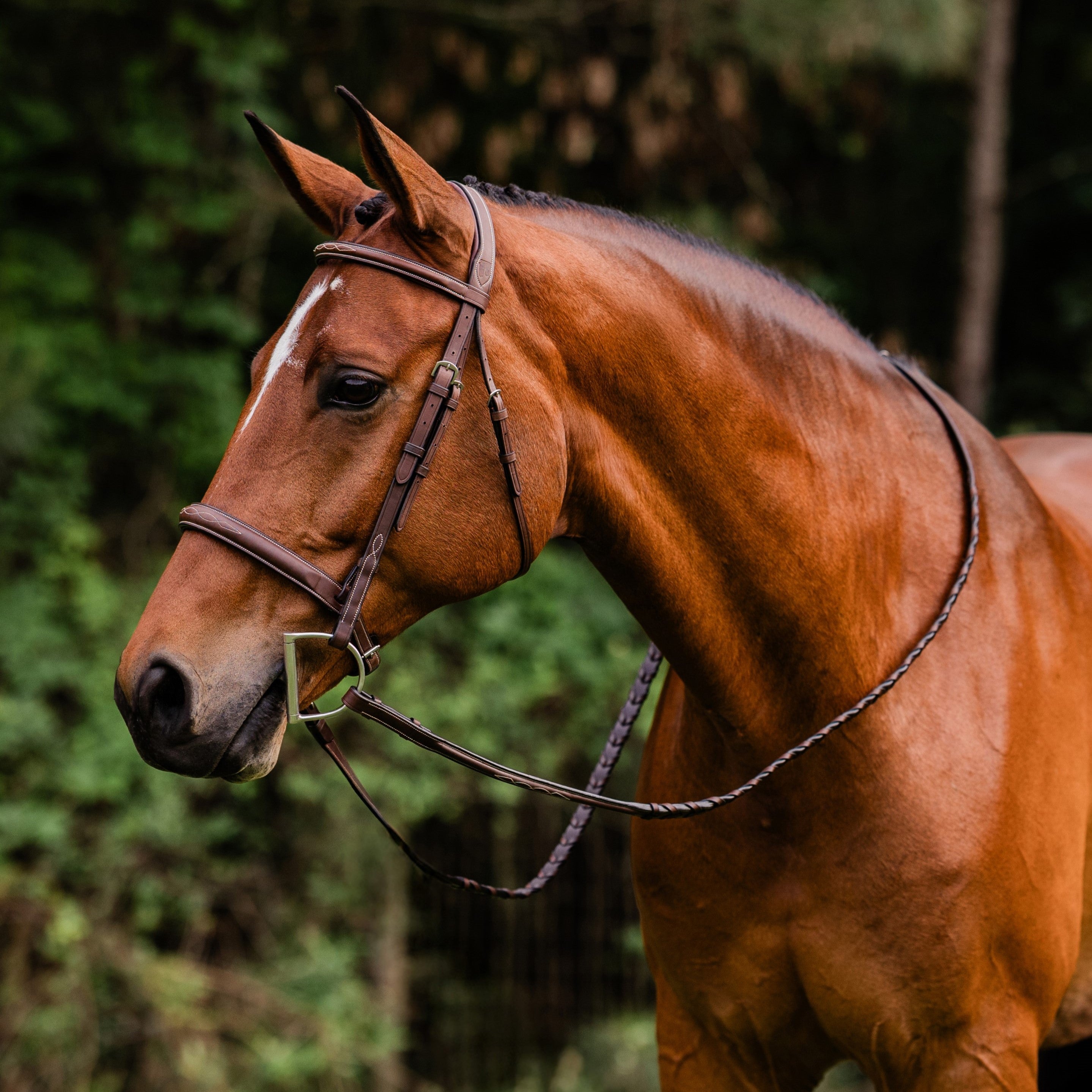 ADT Arc de Triomphe Stealth Hunter Bridle - fancy stitched, shown on Chestnut horse with matching reins | Tack Shop | Malvern Saddlery
