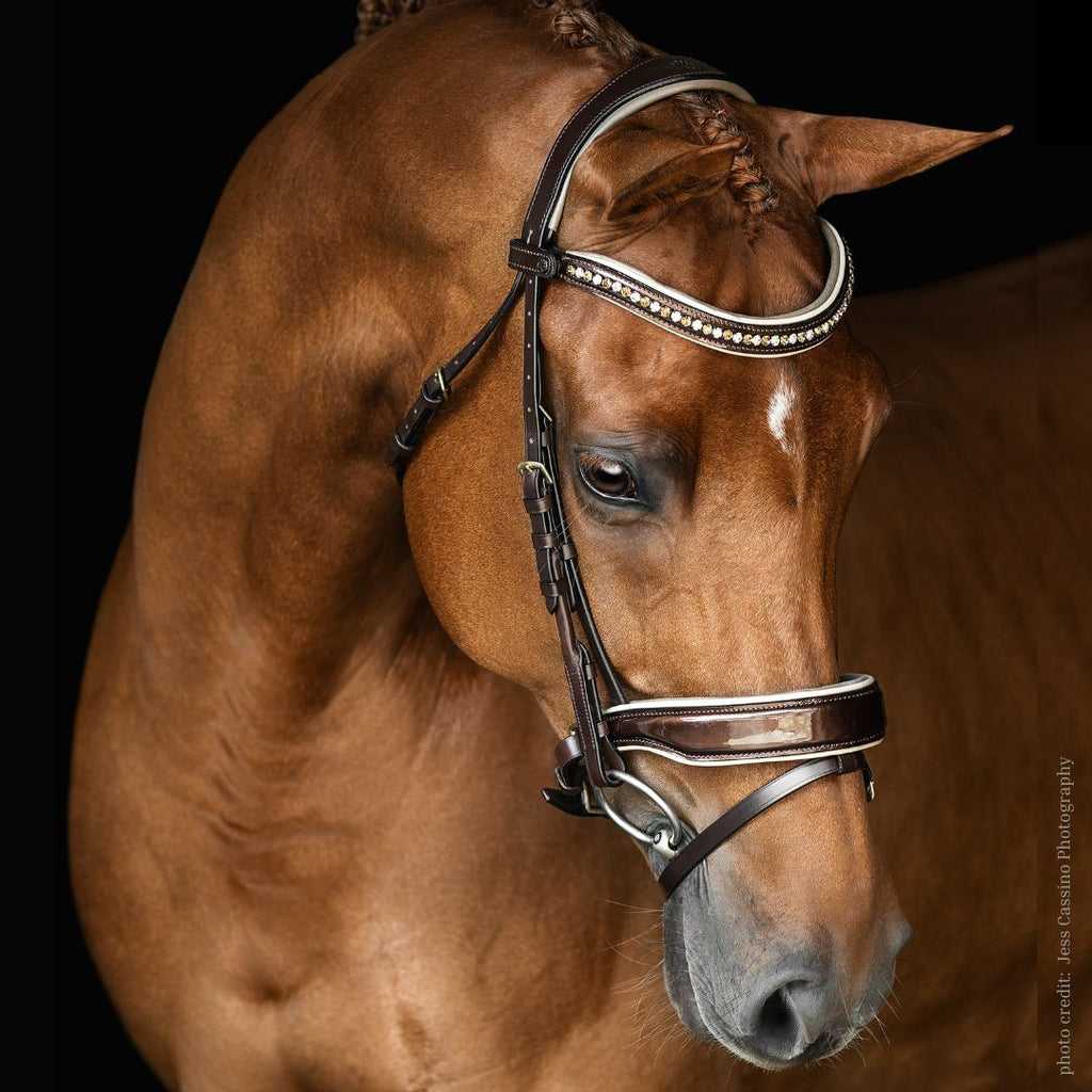 Bronzini Dressage Bridle - chocolate leather  with bronze patent leather, taupe & cream piping, topaz & champagne crystals| photo: Jess Cassino Photography | Malvern Saddlery Exclusive