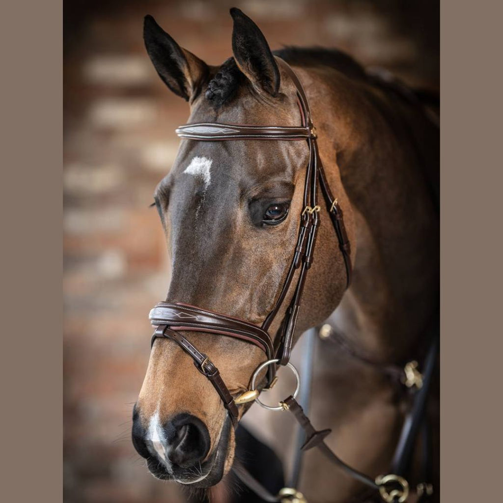 LeMieux Competition Flash Bridle - Havana Brown shown on chestnut horse | Malvern Saddlery