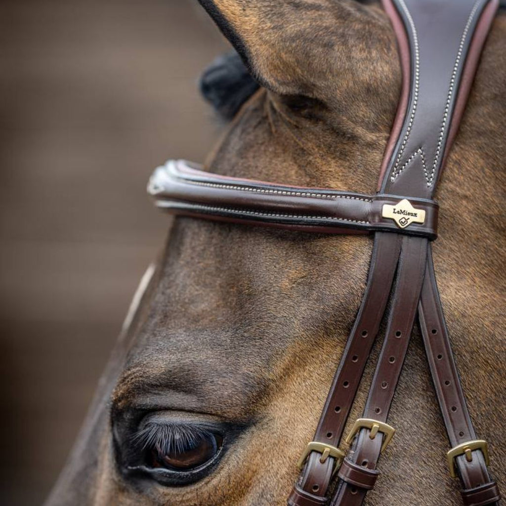 LeMieux Competition Flash Bridle - Havana Brown side detail shown on chestnut horse | Malvern Saddlery