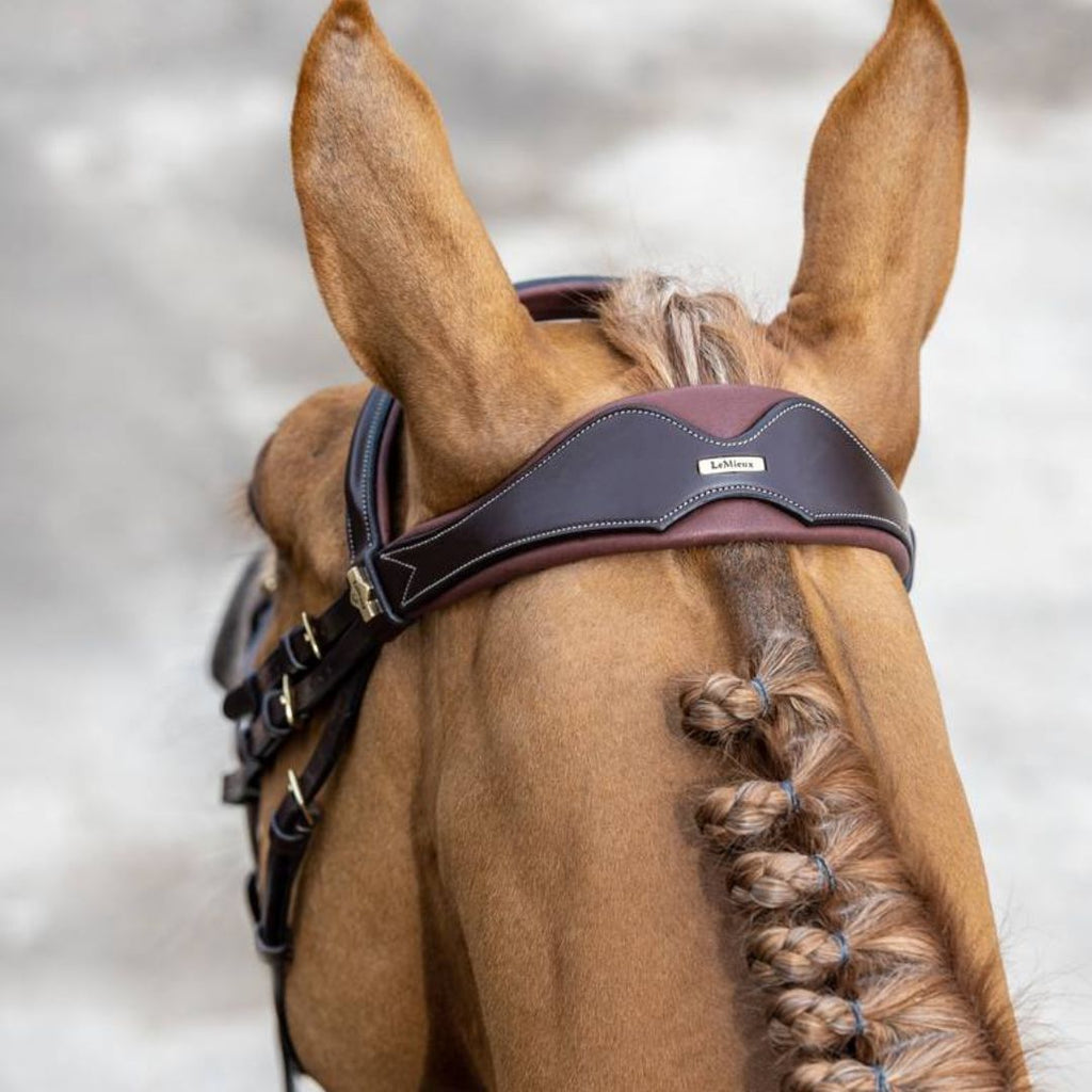 LeMieux Competition Flash Bridle - Havana Brown top detail shown on chestnut horse | Malvern Saddlery