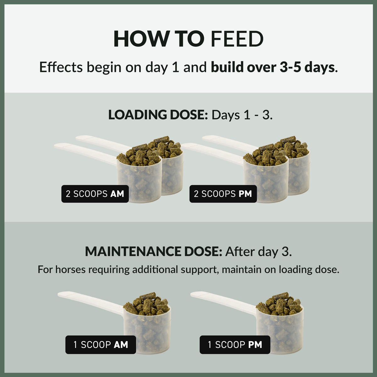 Perfect Prep EQ Training Day+ Daily Calming Pellets - feeding guide | Malvern Saddlery
