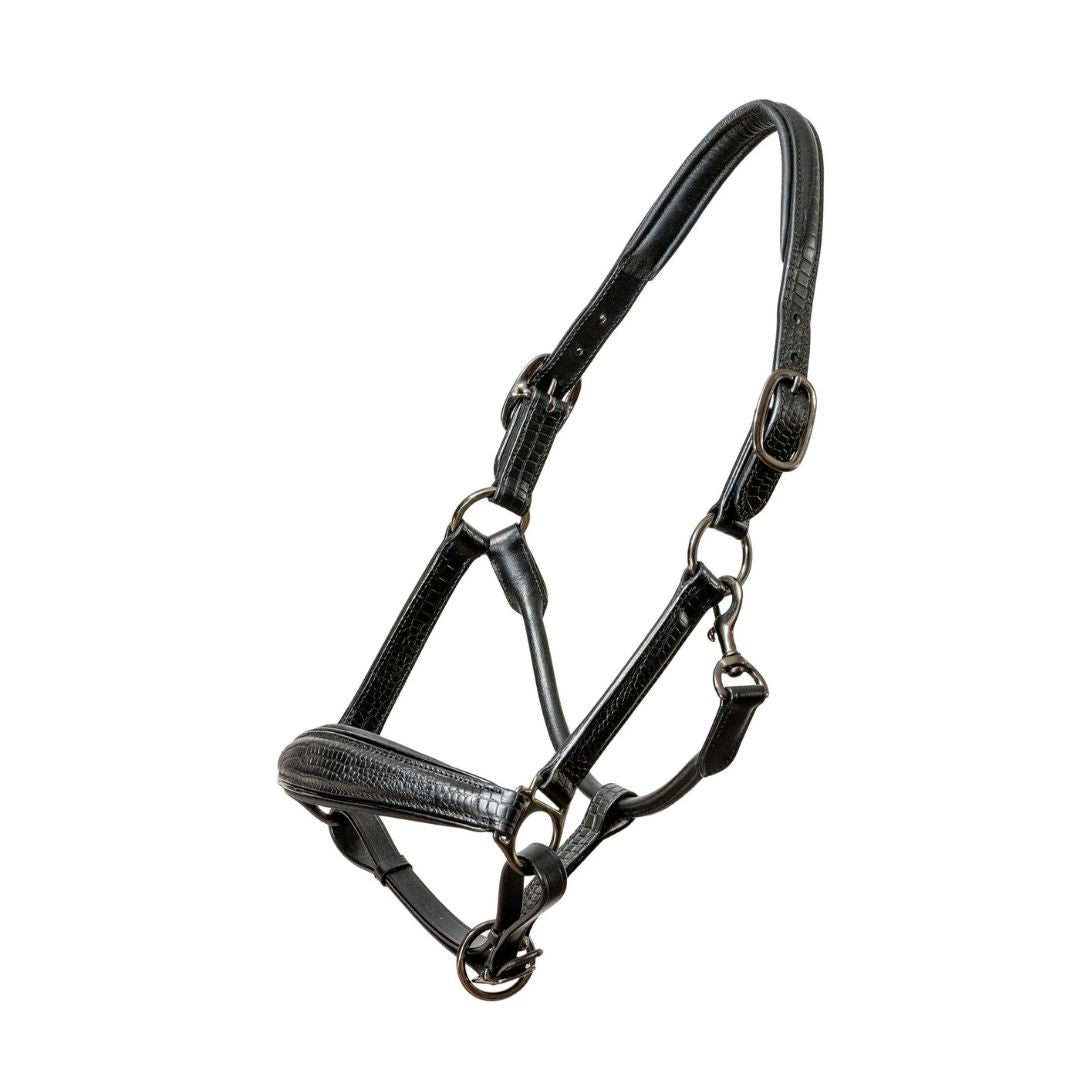 Halter Ego Doc Marten Halter - Black Leather | Equestrian Halters | Malvern Saddlery