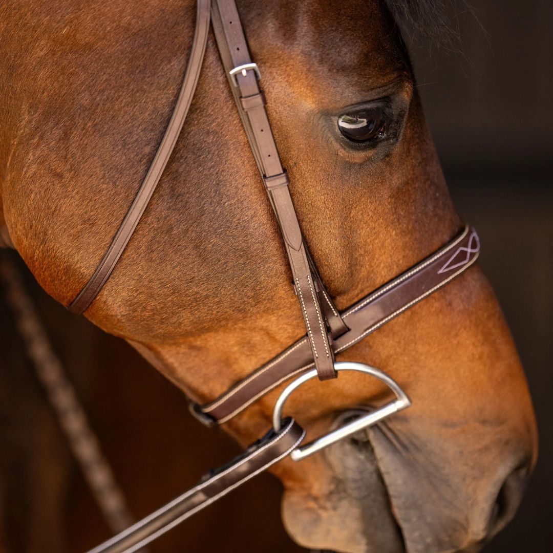 Huntley Sedgwick Fancy Stitched Square Raised Hunter Bridle with Reins - Australian Nut Brown, side viewshown with bit on Chestnut horse detail of head and mouth | Malvern Saddlery
