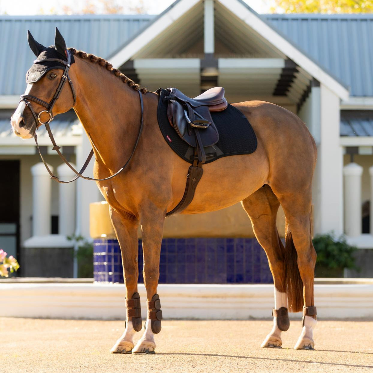 LeMieux Eurojump Square Saddle Pad - Black, shown on horse with saddle & tack in front of barn | Malvern Saddlery