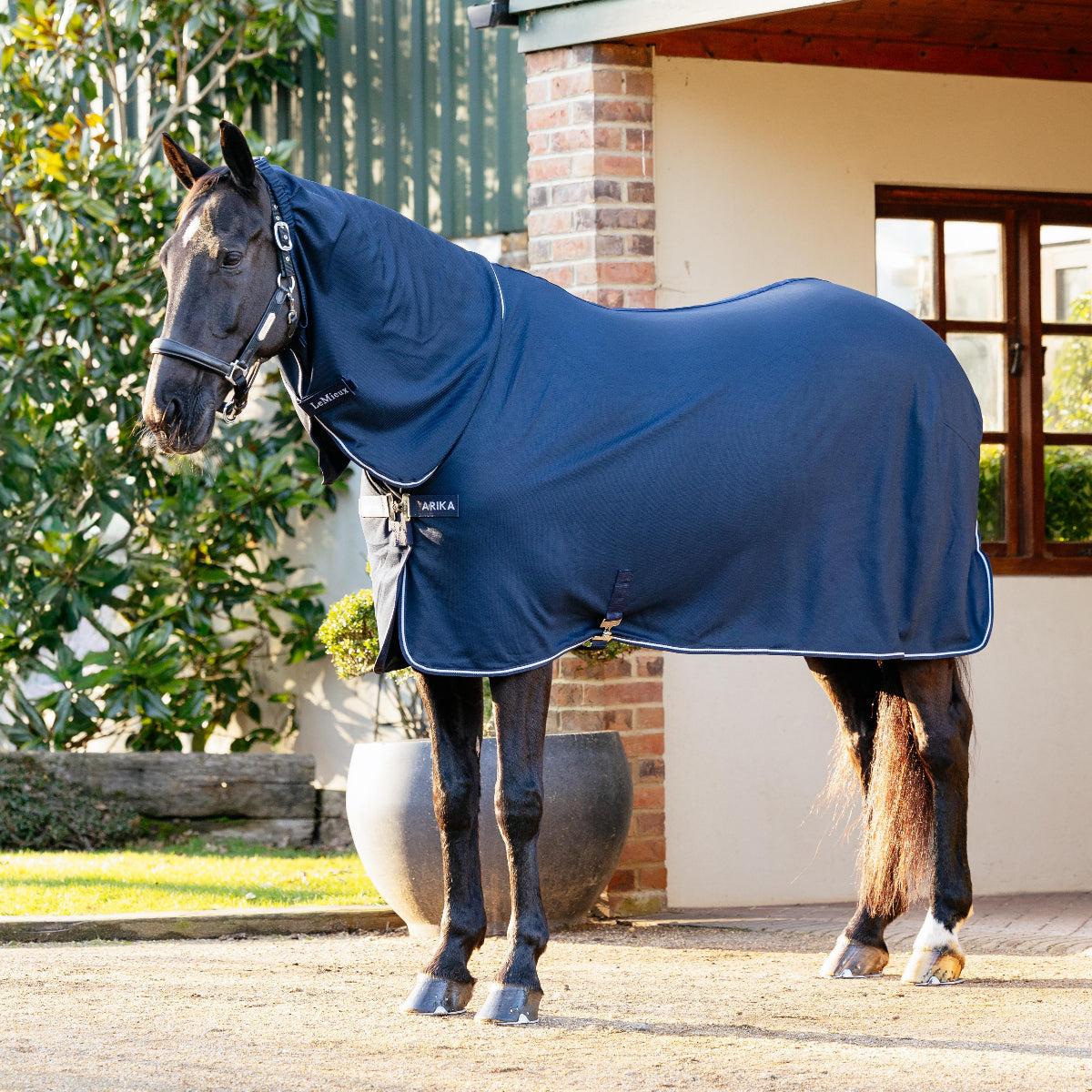 Horse wearing a LeMieux Arika DryEase rug standing on a driveway with a house in the background | Horse Blankets | Malvern Saddlery