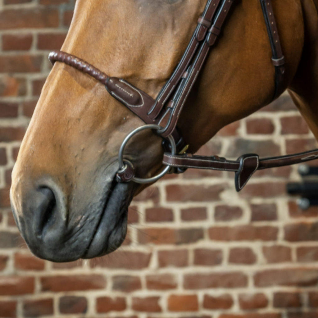Dy'on Leather Covered Rope Noseband | Malvern Saddlery