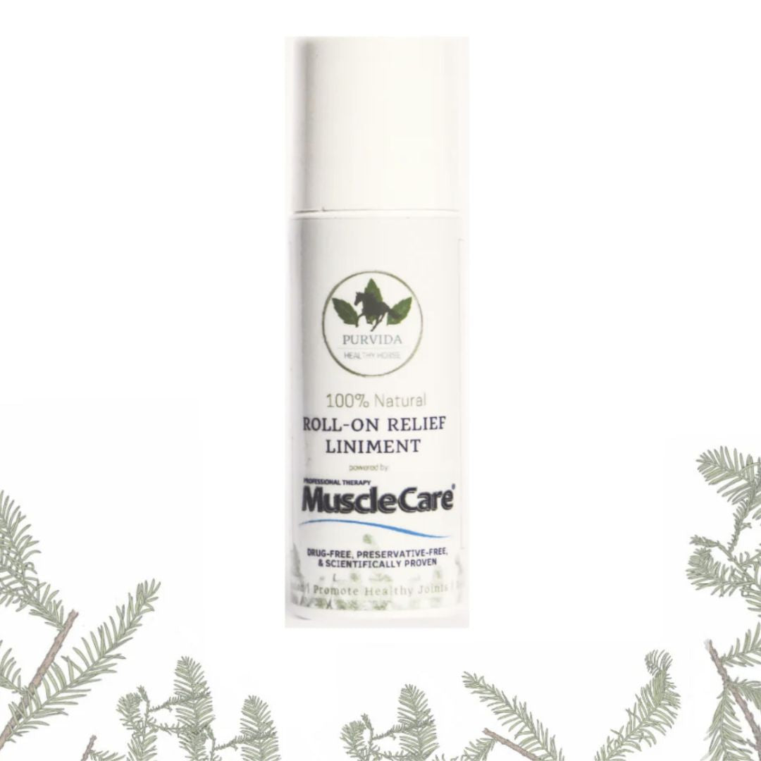 PurVida Roll-On Relief Liniment | Malvern Saddlery