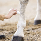 PurVida Roll-On Relief Liniment  | Malvern Saddlery