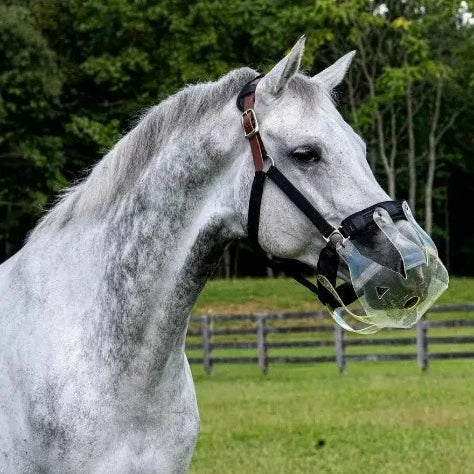 Thin Line Flexible Grazing Muzzle shown on dappled gray horse | Malvern Saddlery
