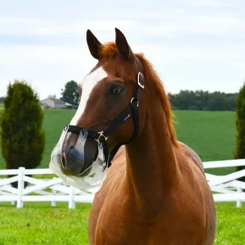 Thin Line Flexible Grazing Muzzle shown on chestnut horse | Malvern Saddlery