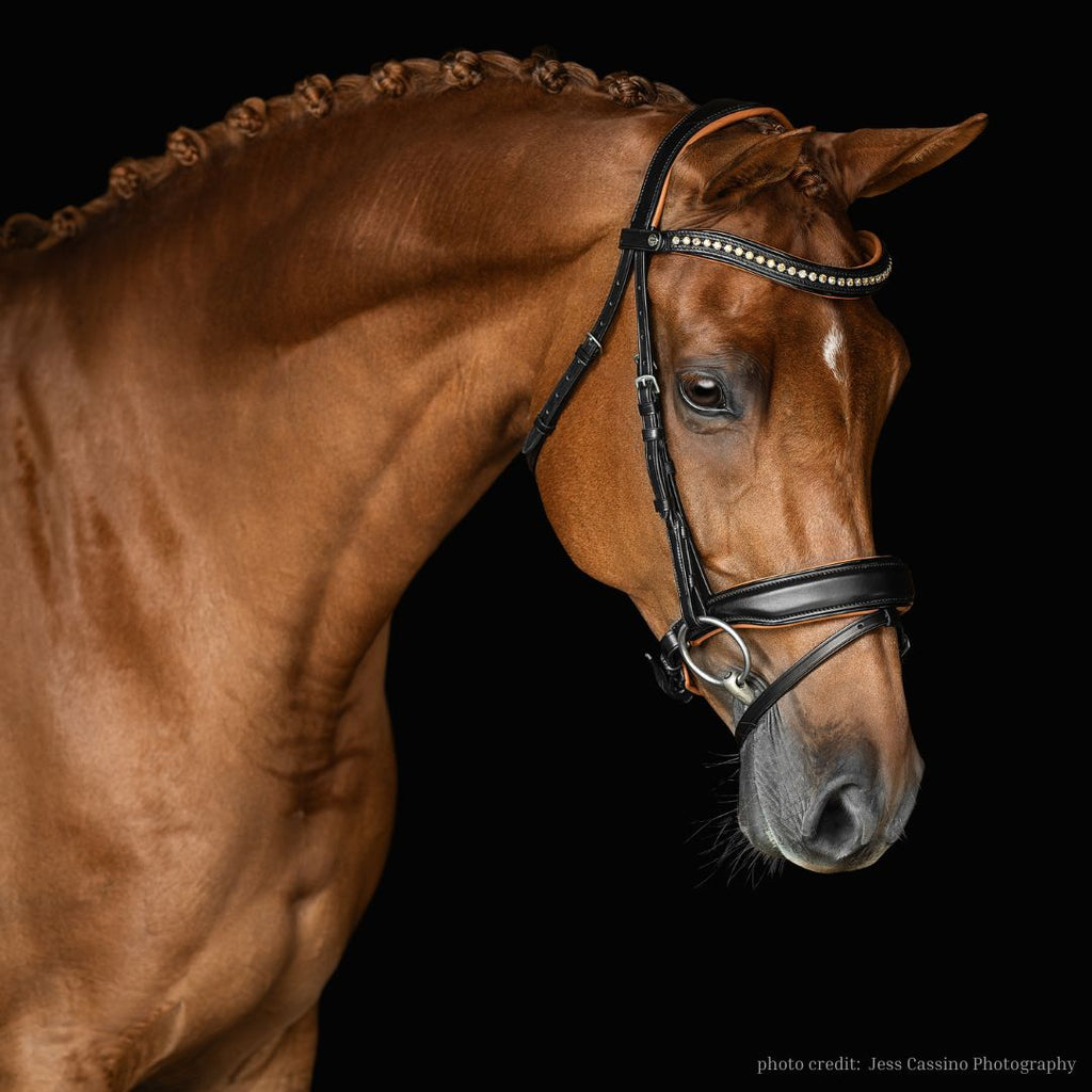 Topaz Night Dressage Bridle - black leather with cognac, black patent & champagne crystals | Malvern Saddlery Exclusive