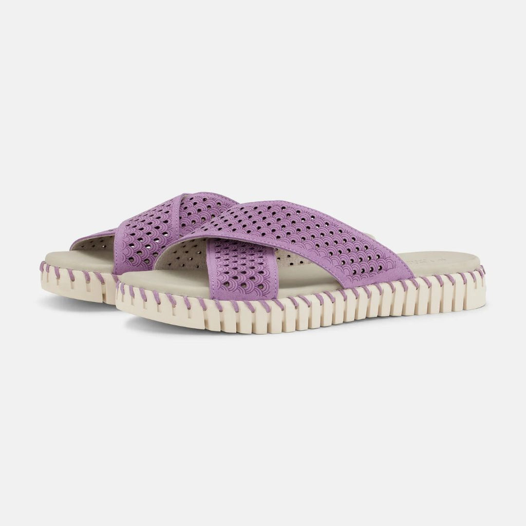 Ilse Jacobsen Tulip Slip-On X Sandal - Violet | Malvern Saddlery