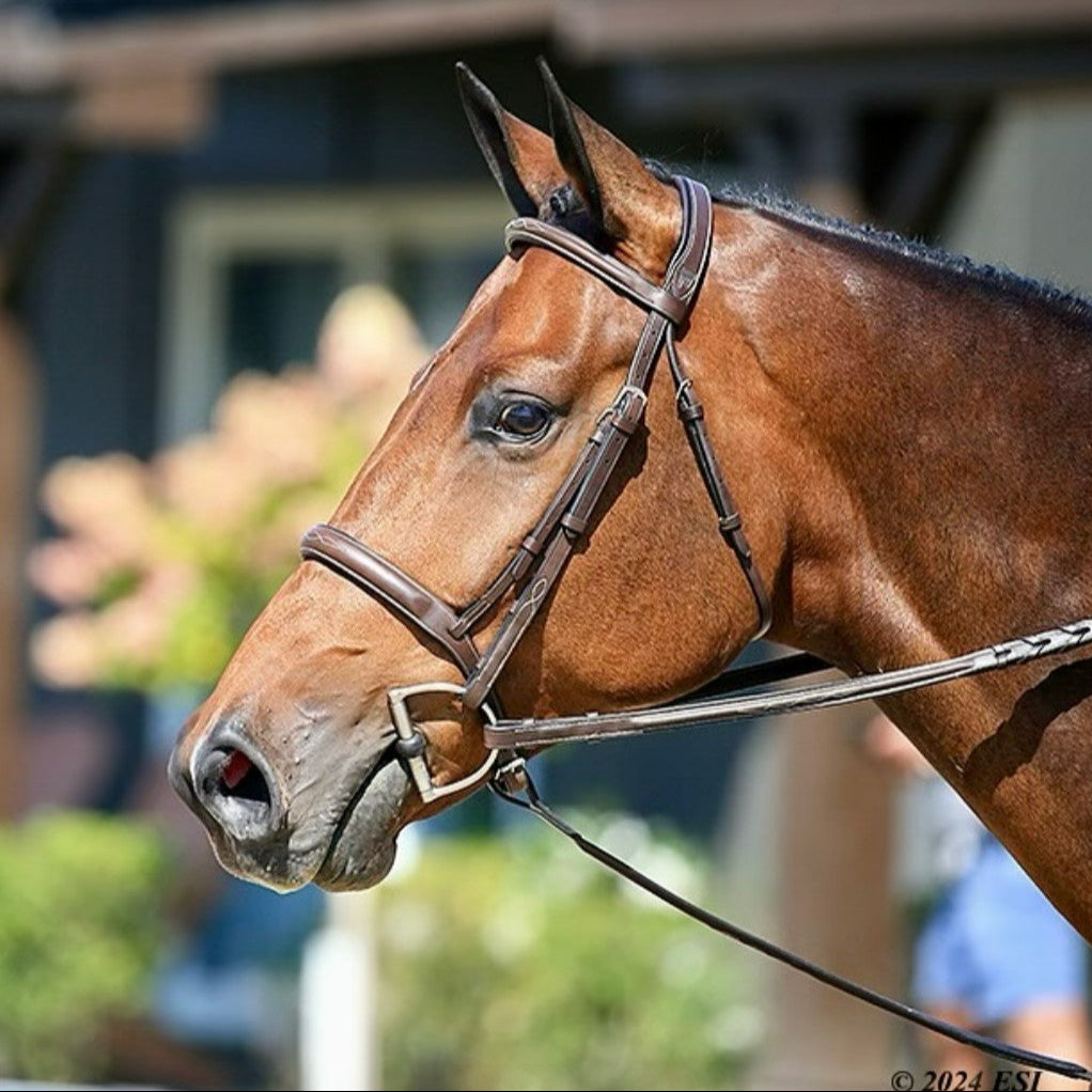 ADT Arc de Triomphe Stealth Hunter Bridle - fancy stitched, shown on Chestnut horse with matching reins | Tack Shop | Malvern Saddlery