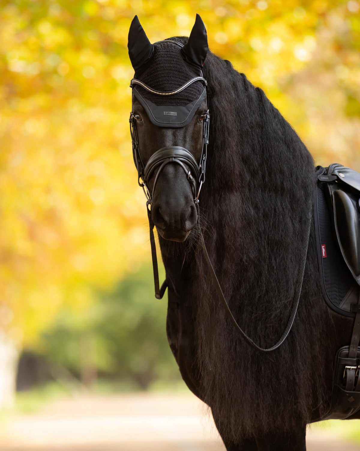 LeMieux Essence Acoustic Noise Reducing Fly Hood, Black, shown on horse with bridle and reins with trees blurred in background| Horse Care | Malvern Saddlery