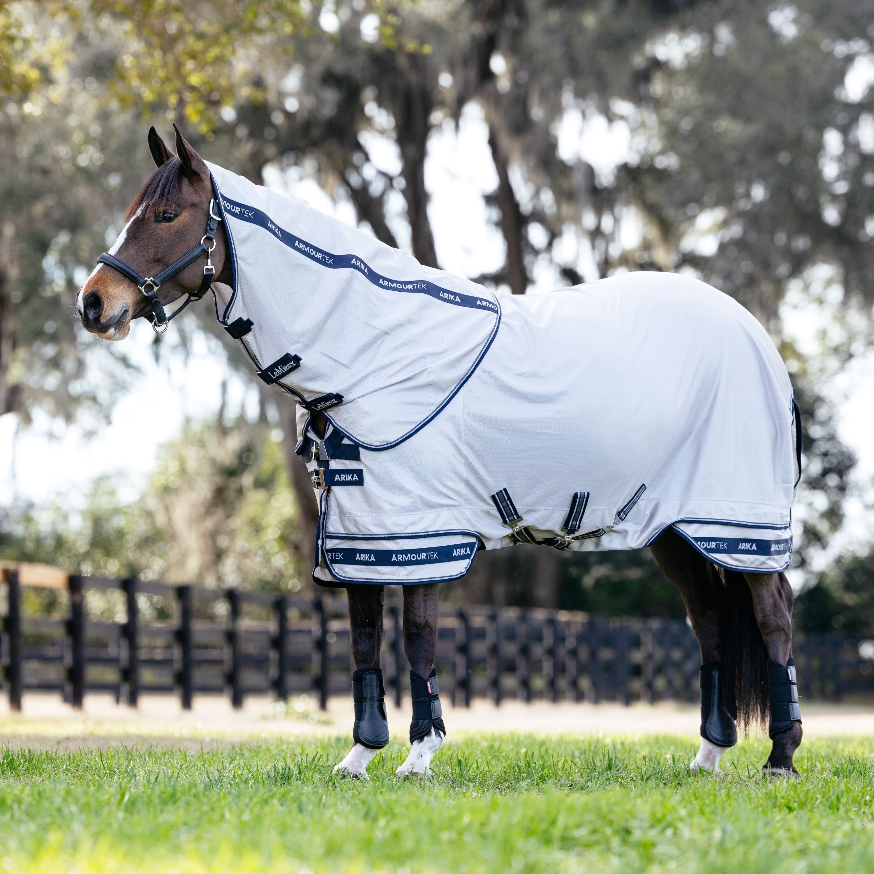 LeMieux Arika Armour-Tek Fly Blanket - Malvern Saddlery