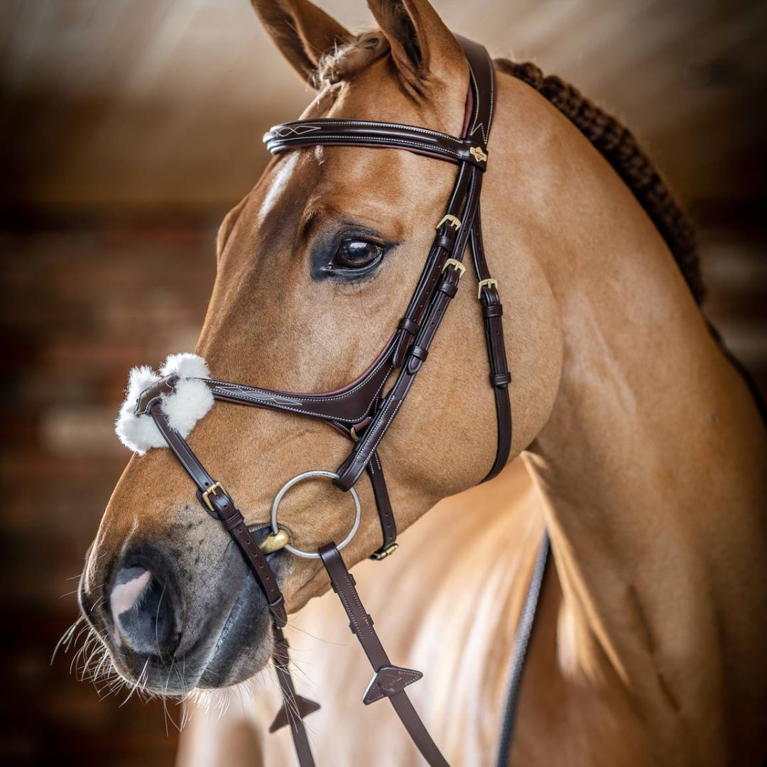 LeMieux Kudos Grackle Bridle - Malvern Saddlery