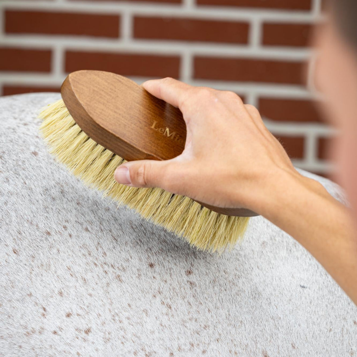 LeMieux Artisan Soft Finishing Brush - person holding brush over dappled horse | Horse Grooming | Malvern Saddlery