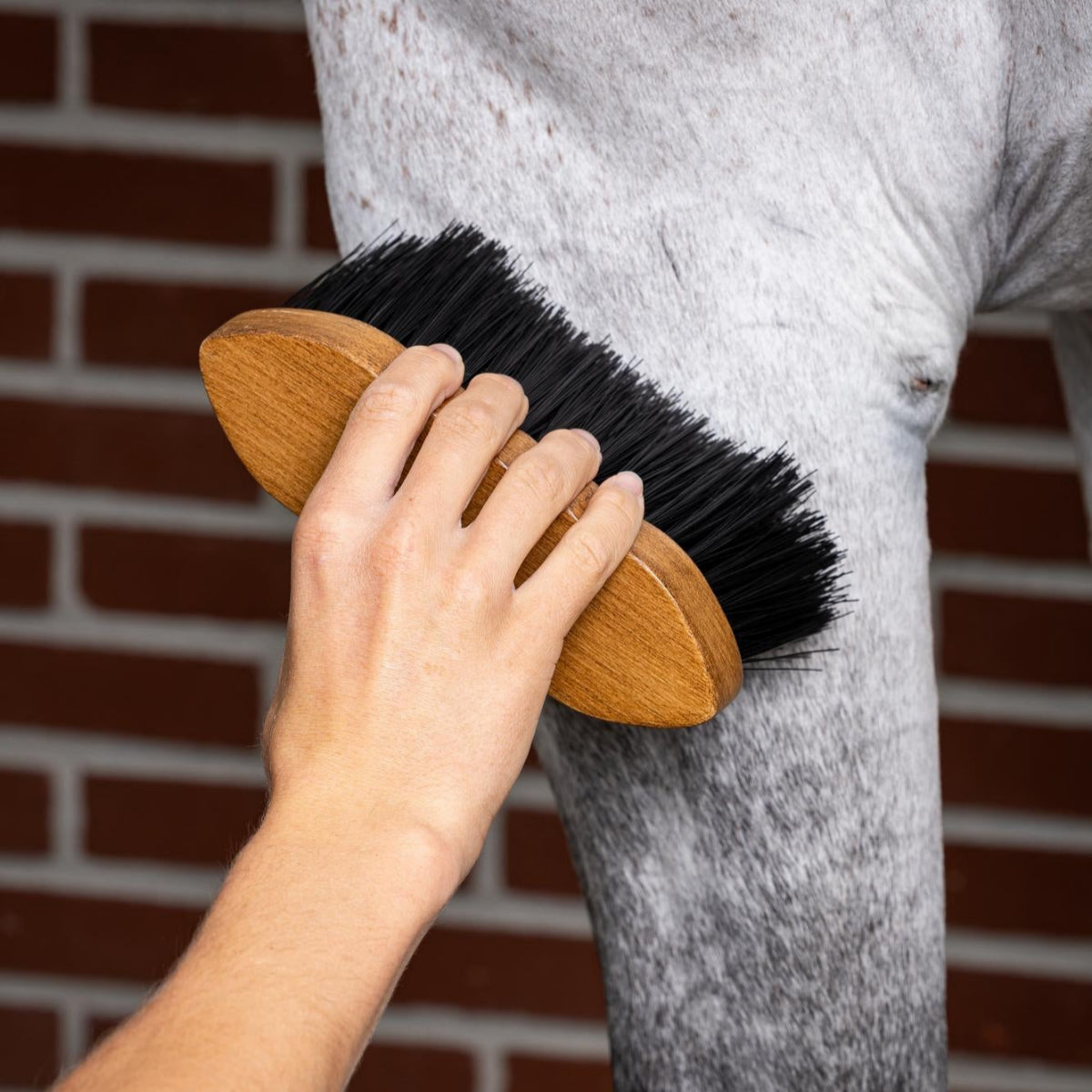 LeMieux Artisan Flick Horse Brush - Brown with Black bristles; shown with  hand brushing horse's leg with brick background | Horse Grooming | Malvern Saddlery