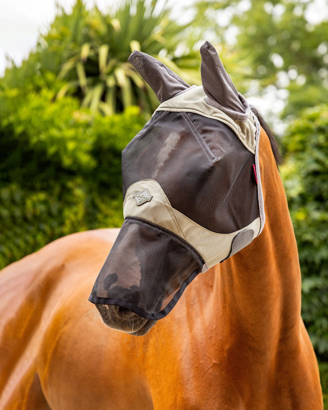 Horse wearing a LeMieux Visor-Tek Full Fly Mask - Fern Green with a green foliage background | Horse Care | Malvern Saddlery