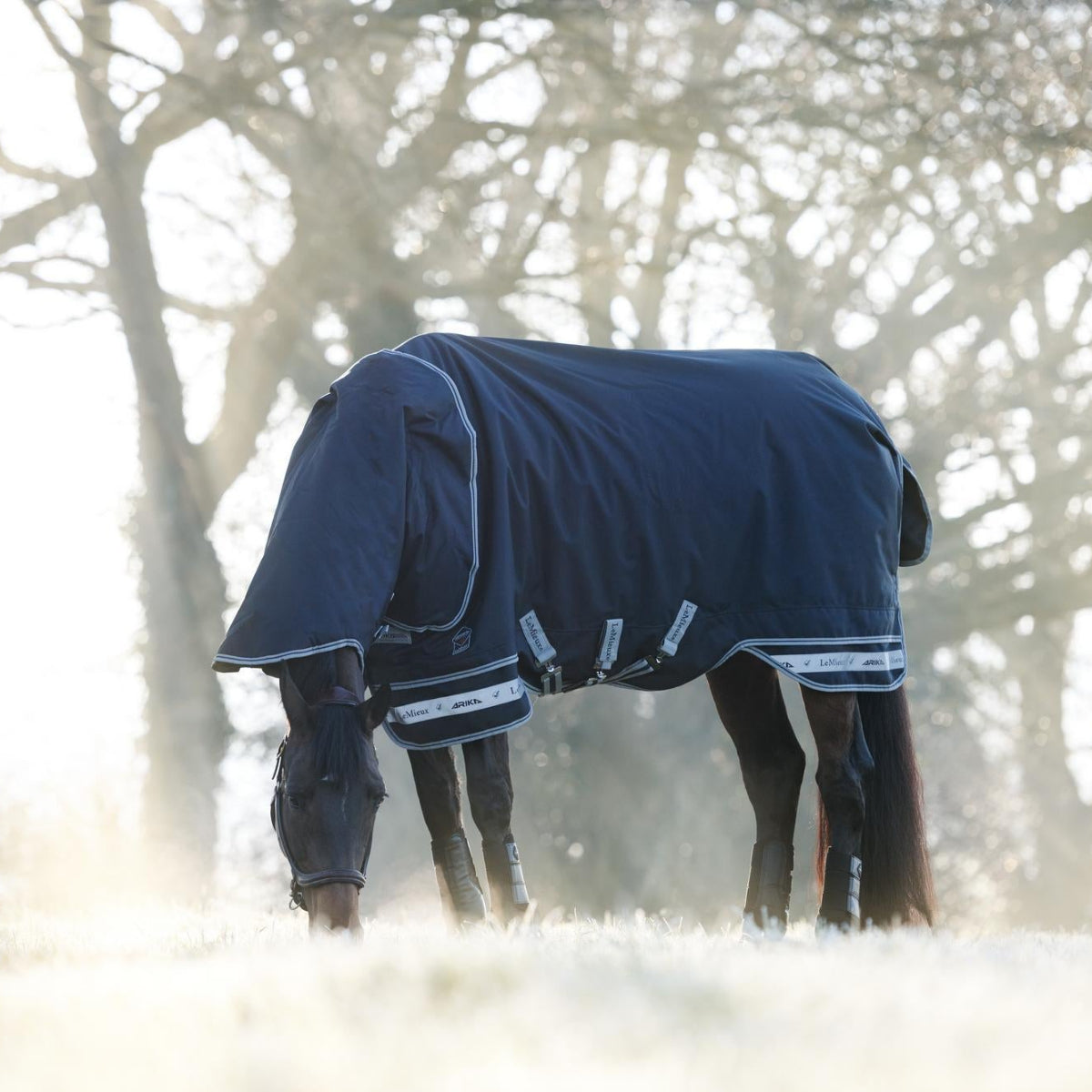LeMieux Arika Storm-Tek 200g Turnout Rug - Navy; shown on horse outdoors in winter | Horse Blankets | Malvern Saddlery