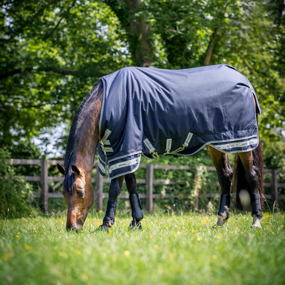 LeMieux Arika Storm-Tek 200g Turnout Rug - Navy; shown without neck attachment on horse in field | Horse Blankets | Malvern Saddlery