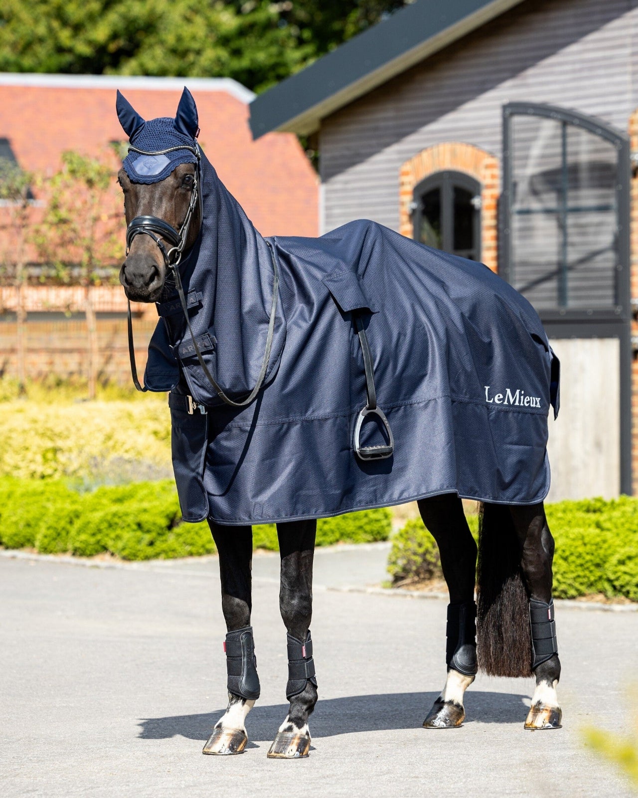 LeMieux Rain Sheet - Navy - shown on fully tacked up brown horse | Malvern Saddlery
