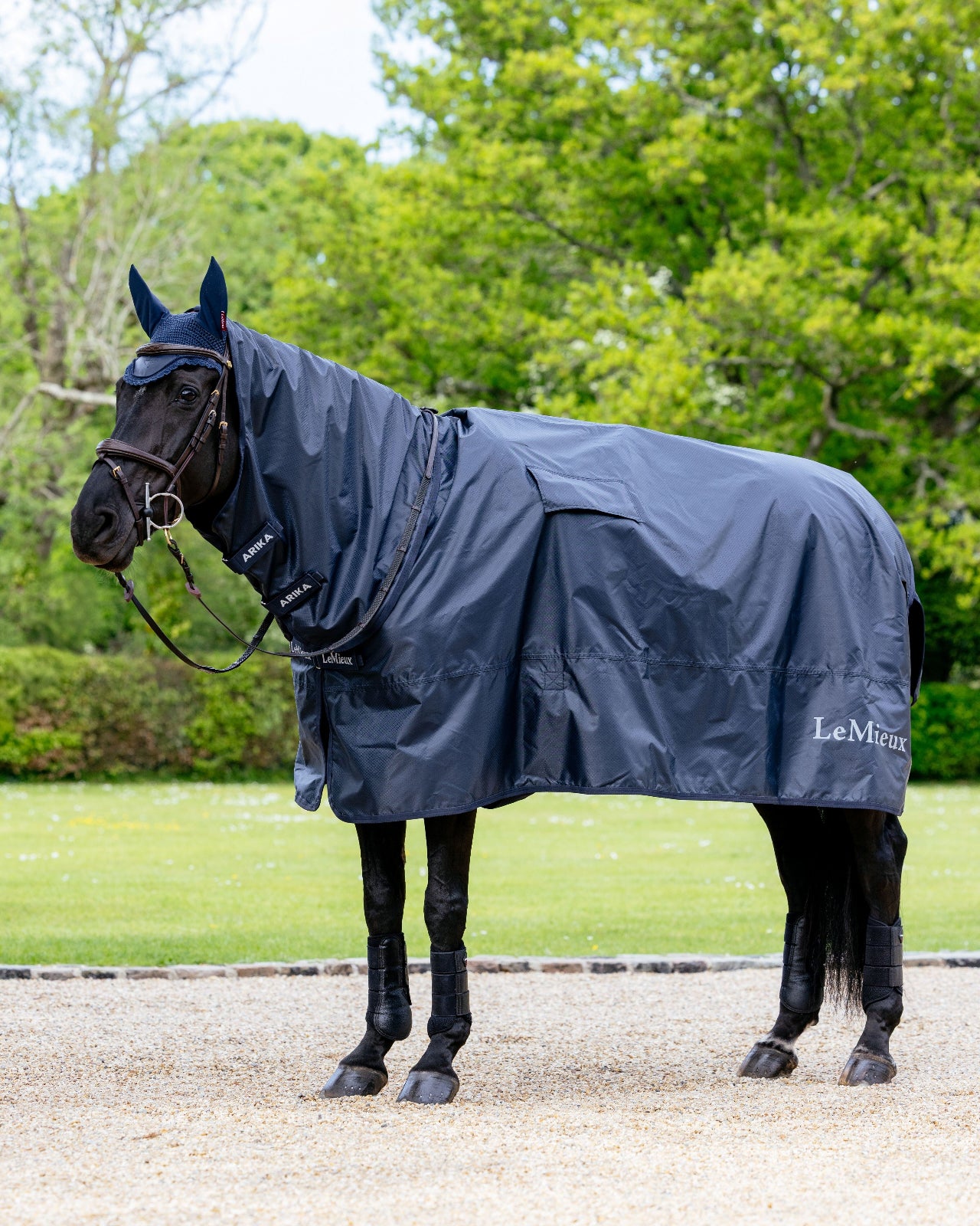 LeMieux Rain Sheet - Navy - shown on fully tackedbrown horse | Malvern Saddlery