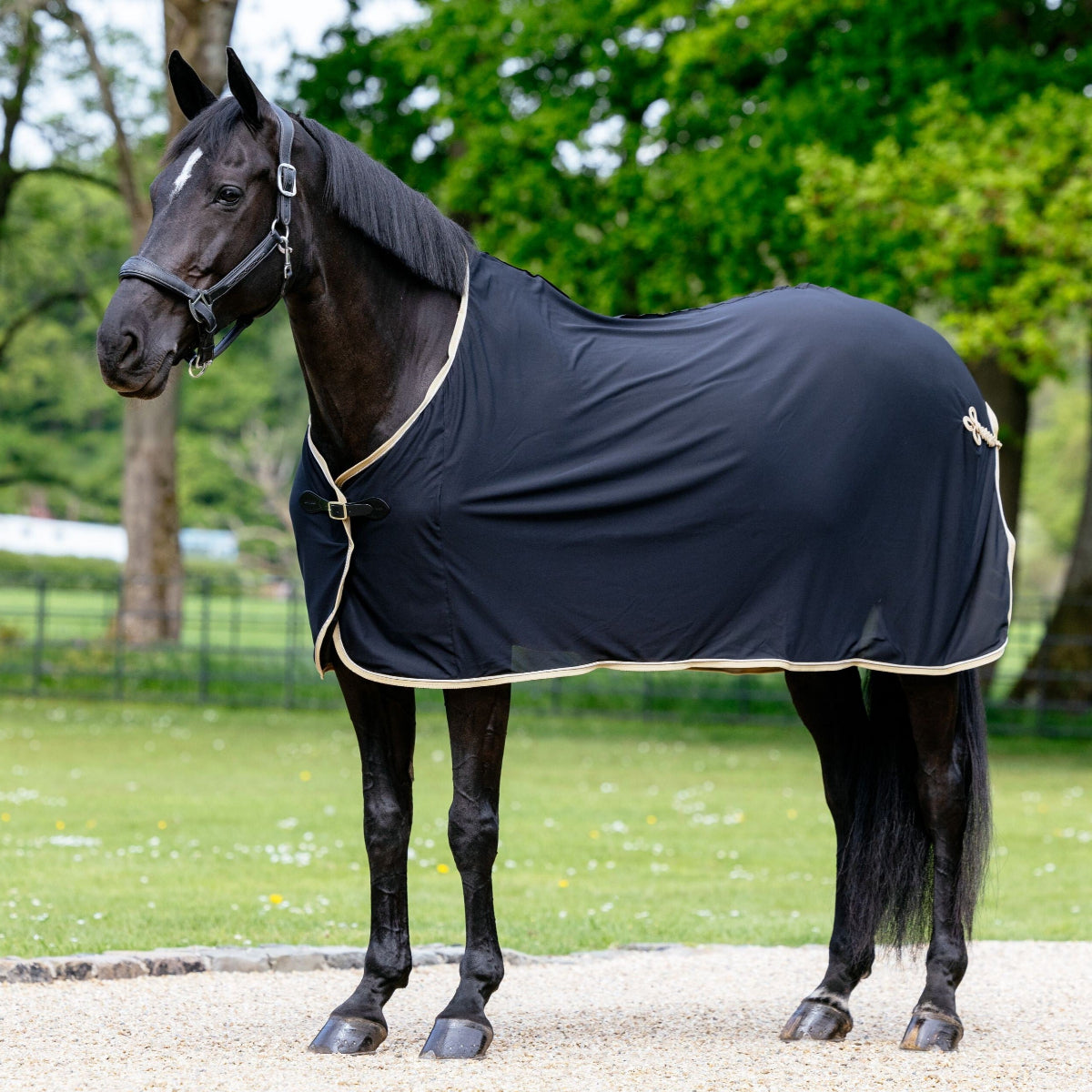 LeMieux Dress Cooler - Scrim - Black on Horse wearing a black rug standing on a path with trees in the background | Horse Blankets | Malvern Saddlery