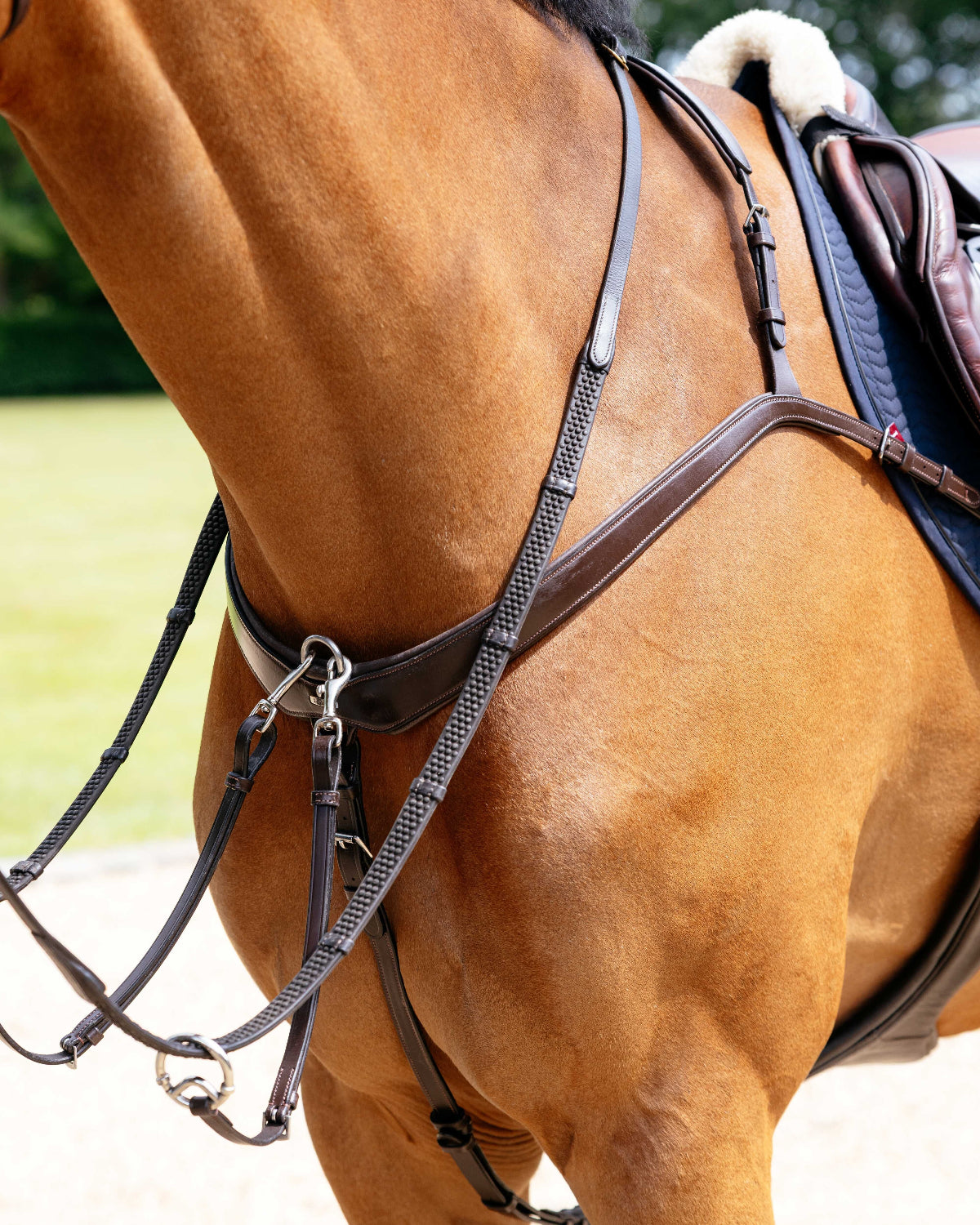 LeMieux Bridge Breastplate - Havana Brown, shown on chestnut horse with reins & other tack | Bridle Accessories | Malvern Saddlery