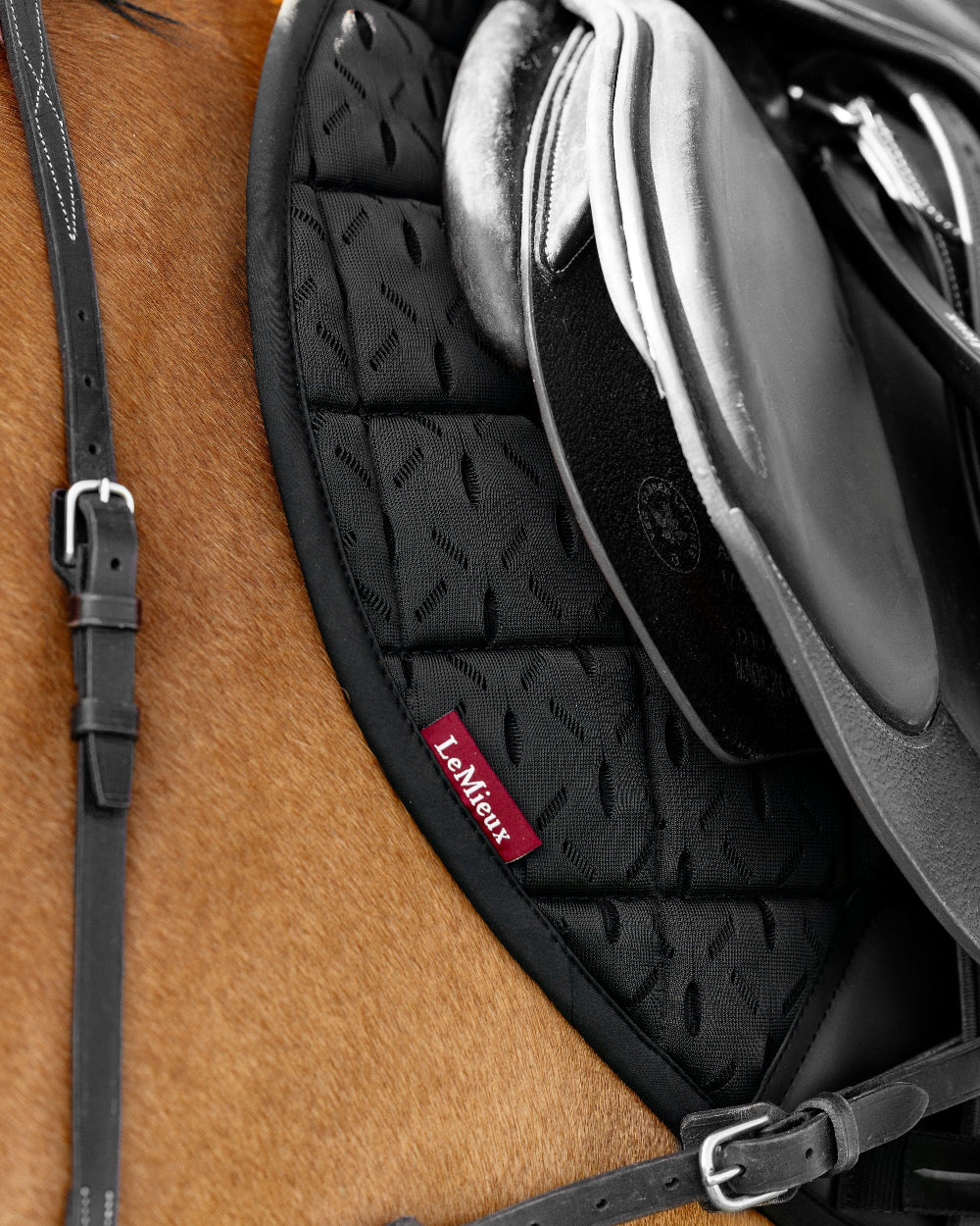 LeMieux 3D Mesh Self-Cool Eurojump Saddle Pad - Black, close up shown on Horse with a brown saddle  in an outdoor setting | Malvern Saddlery
