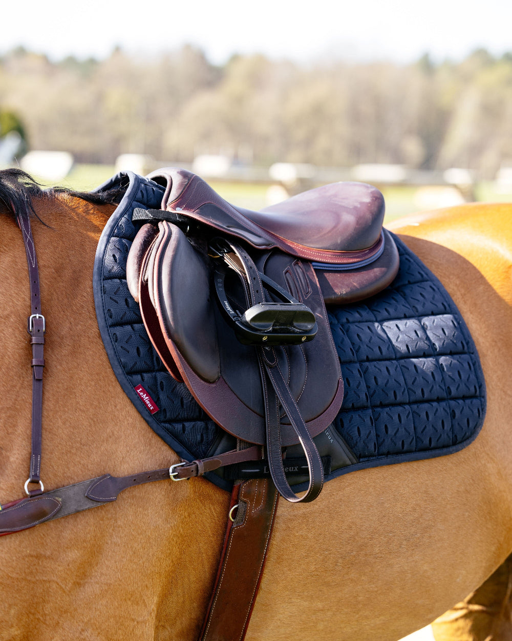 LeMieux 3D Mesh Self-Cool Eurojump Saddle Pad - Navy Blue shown on Horse with a brown saddle  in an outdoor setting | Malvern Saddlery
