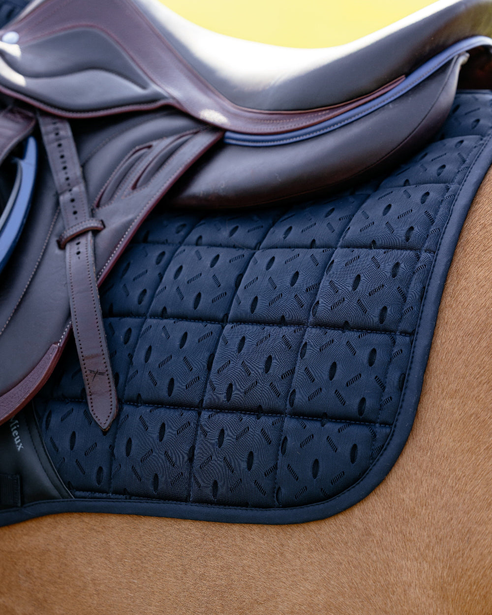 LeMieux 3D Mesh Self-Cool Eurojump Saddle Pad - Navy Blue shown on Horse with a brown saddle  in an outdoor setting | Malvern Saddlery