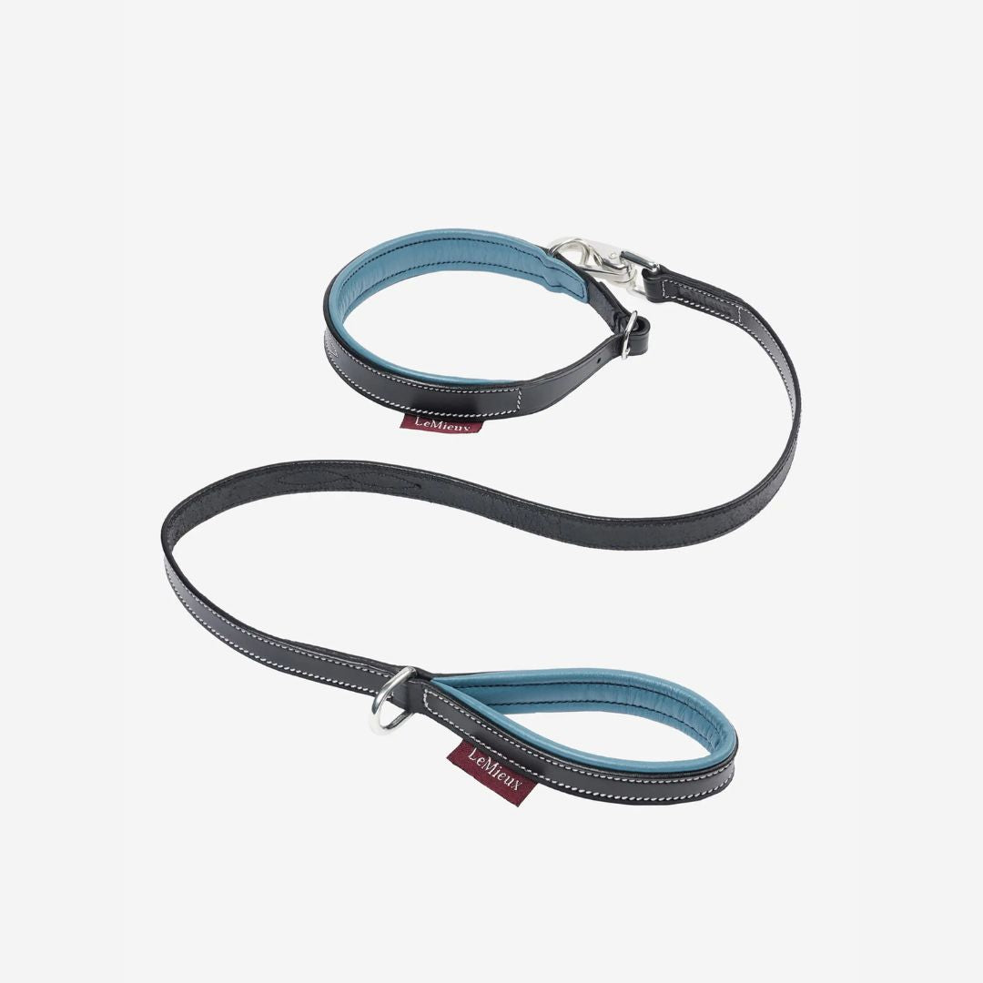 LeMieux Toy Puppy Leash & Collar |  Malvern Saddlery