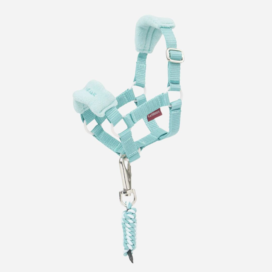 LeMieux Toy Pony Headcollar Halter - Lagoon | Malvern Saddlery