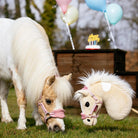 LeMieux Hobby Horse - "Lemon", shown with toy halter & actual Lemon Pony | Equestrian Toys |  Malvern Saddlery