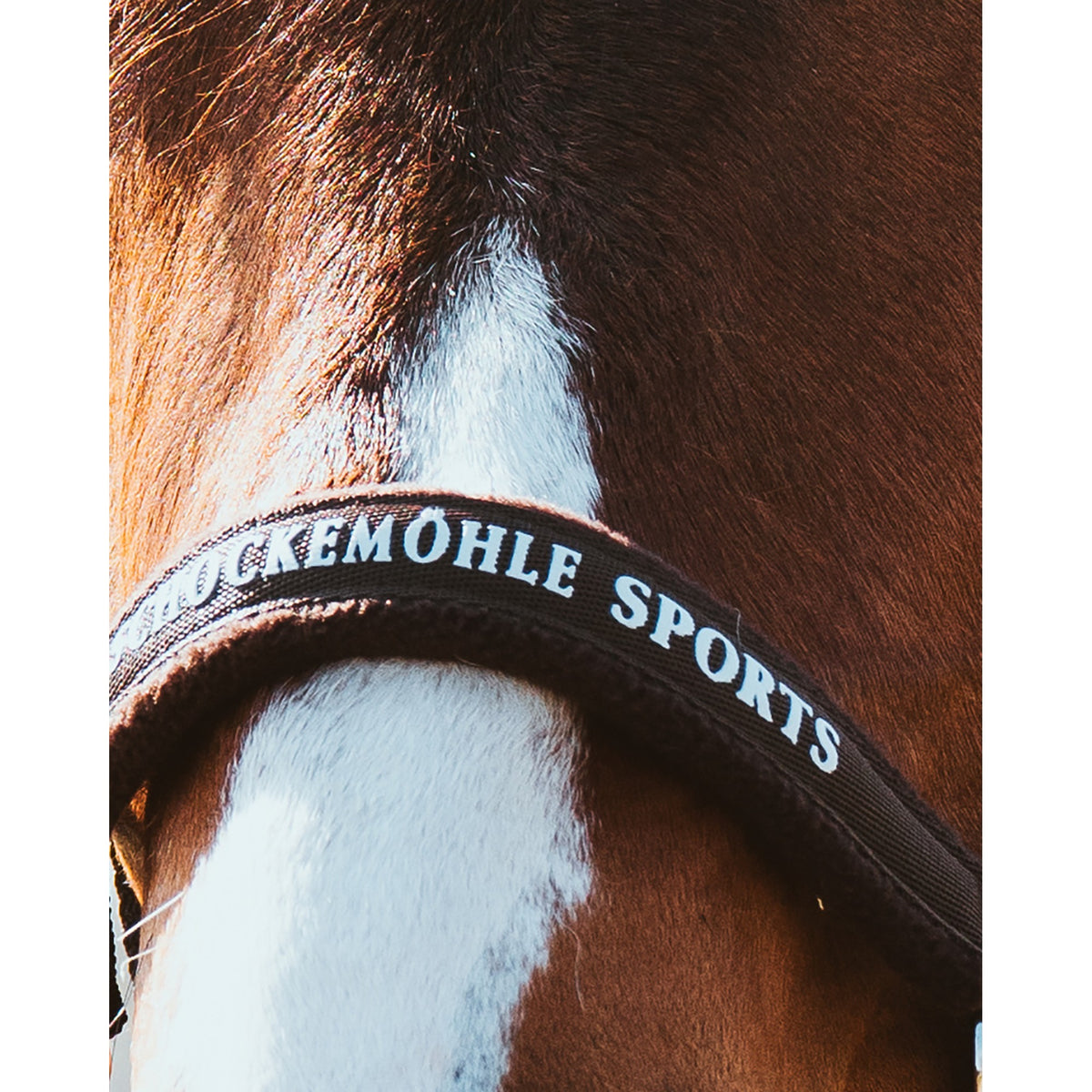 Schockemöhle Memphis Style III Breakaway Halter in Mocca logo noseband close up