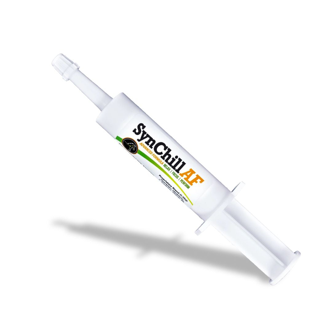 SynChill AF Advanced Formula Calming Gel - syringe/tube | Horse Care | Malvern Saddlery