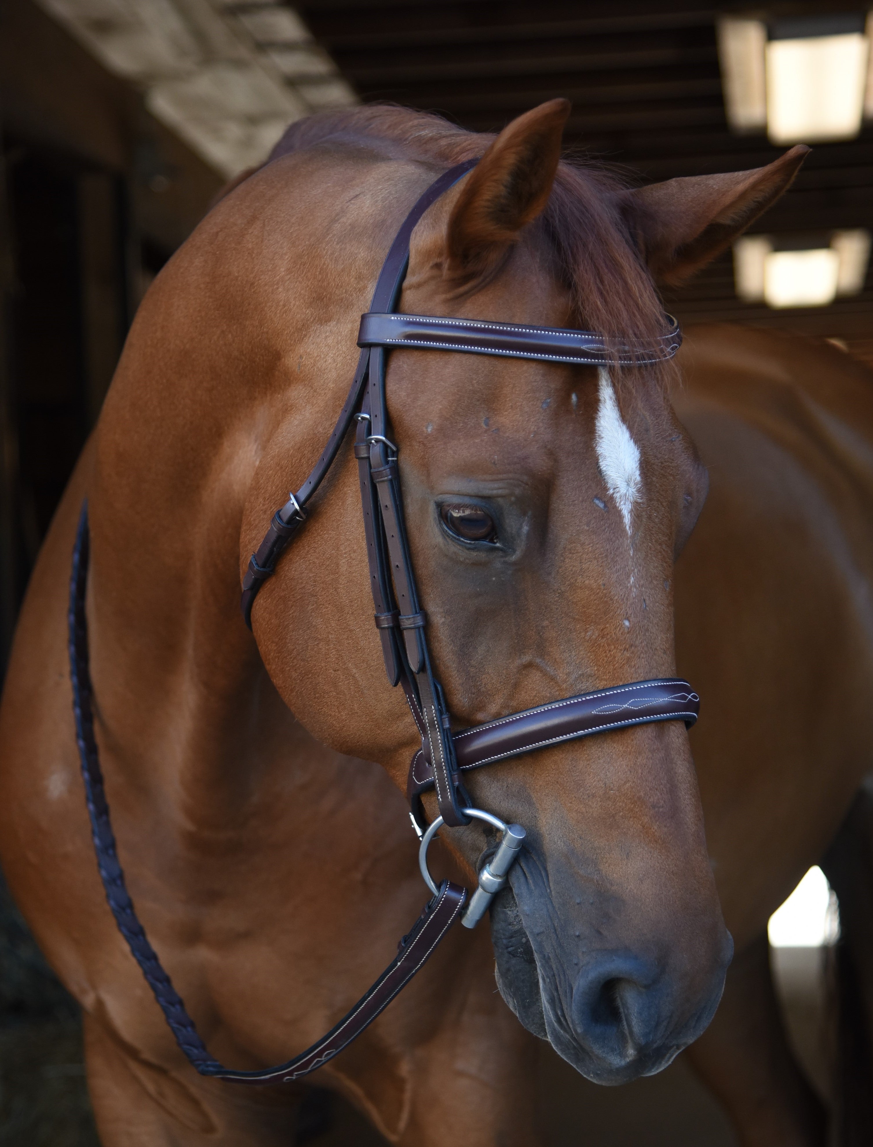 Black Oak 'Poppy' Hunter Bridle - Malvern Saddlery