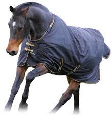 Shop Bucas Irish Light, Black with Gold Trim | Malvern Saddlery