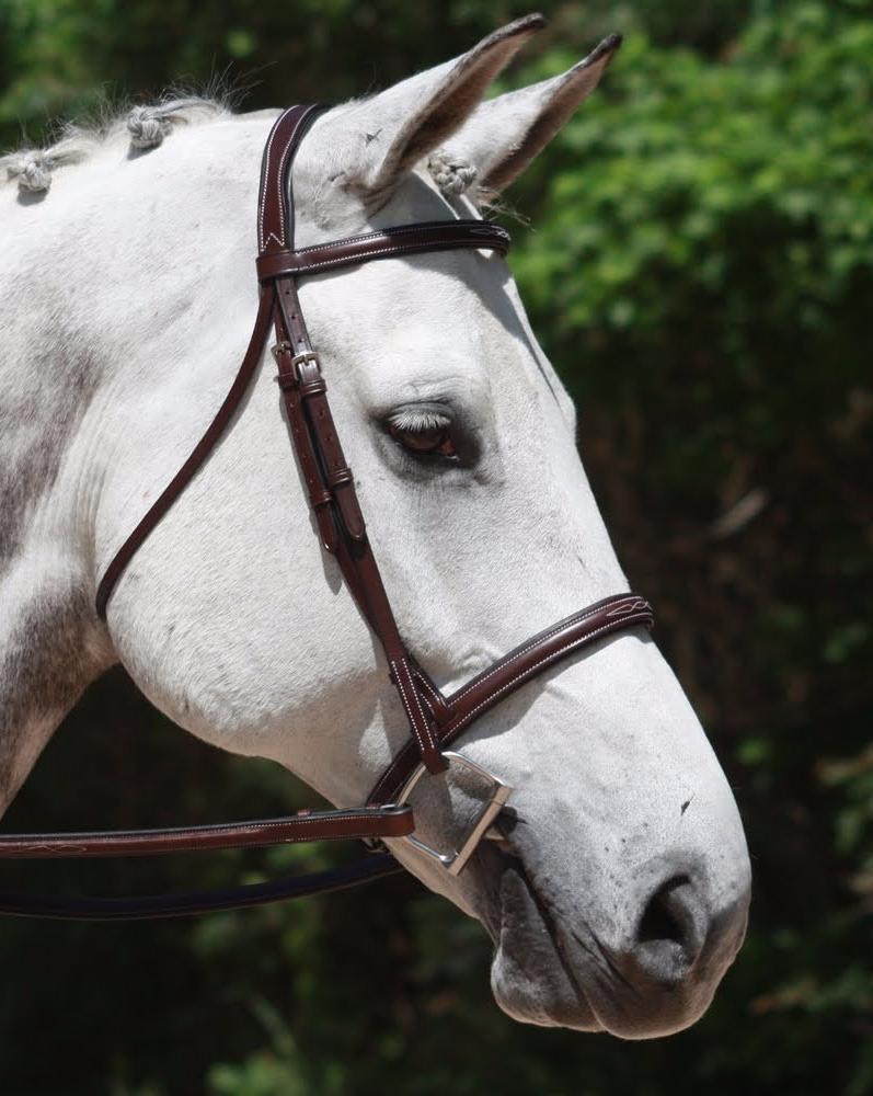 Shop KL Synergy Hunter Bridle - Malvern Saddlery